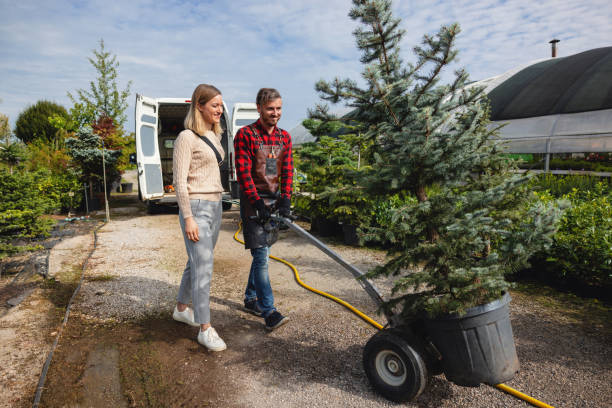 Best Tree Risk Assessment  in Hitchcock, TX